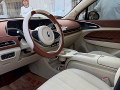 ORA Good Cat 401km Standard Range Luxury LFP - ფოტო 5