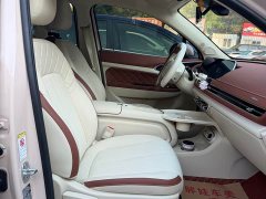 ORA Good Cat 401km Standard Range Luxury LFP - ფოტო 7