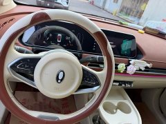 ORA Good Cat 401km Standard Range Luxury LFP - ფოტო 9
