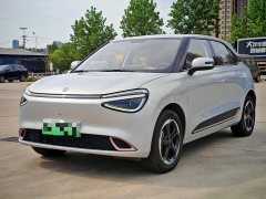Dongfeng Nano 01 2024 430 Plus Smart - ფოტო 1