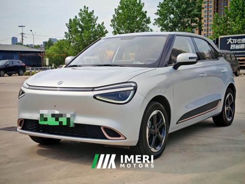 2025 Dongfeng Nano 01 2024 430 Plus Smart - ავტომობილი ჩინეთიდან