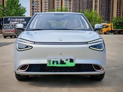 Dongfeng Nano 01 2024 430 Plus Smart - ფოტო 8