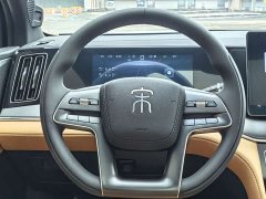 BYD Song L DM-i 2024 112km Transcendence - ფოტო 17