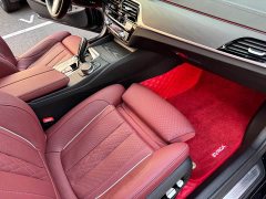 BMW 5 Series 530Li Luxury M Sport Package - ფოტო 15