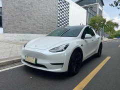 Tesla Model Y Standard Range RWD - ფოტო 1
