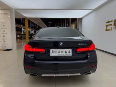 BMW 5 Series 530Li Premier M Sport Package - ფოტო 15