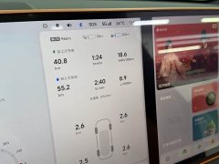 Li Auto L6 Pro Smart Refresh Edition - ფოტო 7