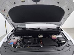 BYD Haima Sealion 05 DM-i 75KM Luxury - ფოტო 6
