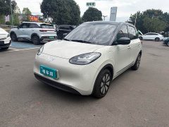 Wuling Binguo 333km Joy Edition - ფოტო 1