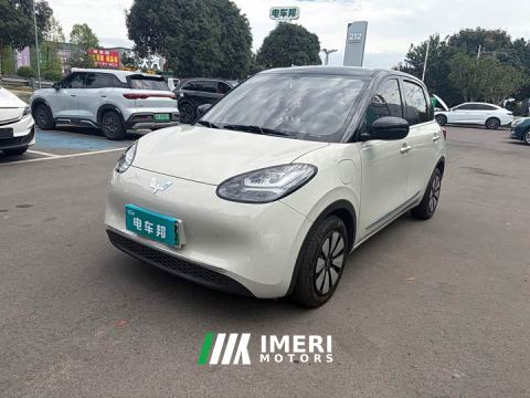2024 Wuling Binguo 333km Joy Edition