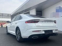 Geely Xingrui 1.5T Diesel Fuyao Edition - ფოტო 9