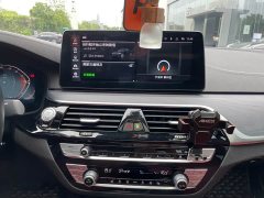 BMW 5 Series 530Li Premier M Sport Package - ფოტო 11