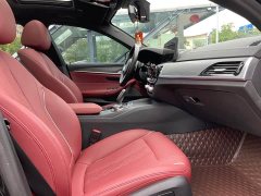 BMW 5 Series 530Li Premier M Sport Package - ფოტო 16