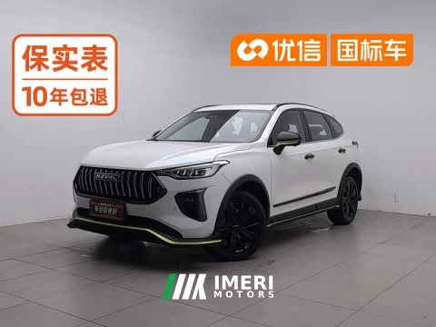 2022 Haval Chitu 2021 Jiqing Edition 1.5T Golden Rabbit - автомобиль из Китая