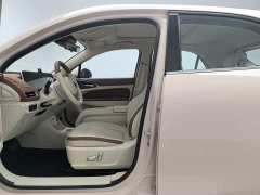 ORA Good Cat 401km Luxury - ფოტო 10
