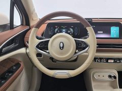 ORA Good Cat 401km Luxury - ფოტო 11