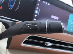 ORA Good Cat 401km Luxury - ფოტო 13
