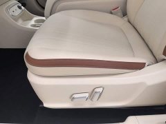 ORA Good Cat 401km Luxury - ფოტო 20