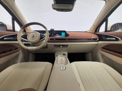 ORA Good Cat 401km Luxury - ფოტო 5