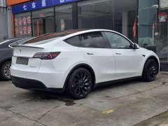 Tesla Model Y 2022 Performance All-Wheel Drive - ფოტო 5