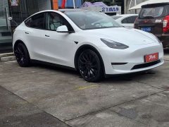 Tesla Model Y 2022 Performance All-Wheel Drive - ფოტო 7