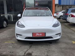 Tesla Model Y 2022 Performance All-Wheel Drive - ფოტო 8