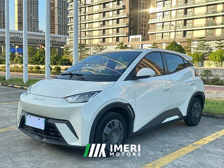 BYD Seagull Vitality Edition - ავტომობილი ჩინეთიდან