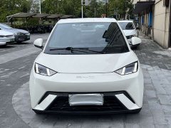 BYD Seagull Glory Edition 405km Flying Edition - ფოტო 1