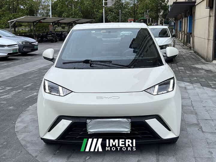 BYD Seagull Glory Edition 405km Flying Edition
