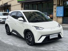 BYD Seagull Glory Edition 405km Flying Edition - ფოტო 2