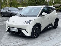 BYD Seagull Glory Edition 405km Flying Edition - ფოტო 3