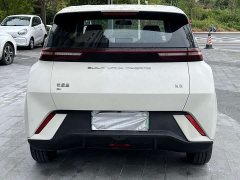 BYD Seagull Glory Edition 405km Flying Edition - ფოტო 4