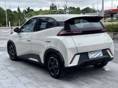BYD Seagull Glory Edition 405km Flying Edition - ფოტო 5
