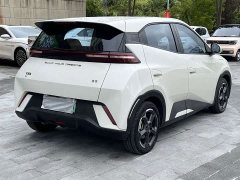 BYD Seagull Glory Edition 405km Flying Edition - ფოტო 6