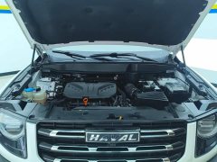 Havaldog 2021 2.0T DCT two-wheel drive Chinese hound version - ფოტო 10