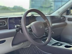 Leapmotor Leapo C11 Pure Electric 500 Comfort Edition - ფოტო 14