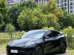 Tesla Model Y Standard Range RWD - ფოტო 1