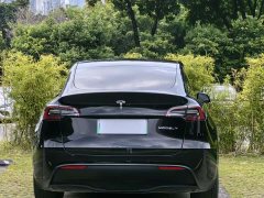 Tesla Model Y Standard Range RWD - ფოტო 10