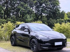 Tesla Model Y Standard Range RWD - ფოტო 2