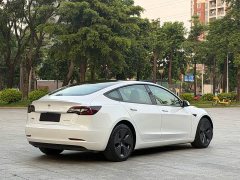 Tesla Model 3 2021 Standard Range RWD Upgrade 3D6 - ფოტო 14