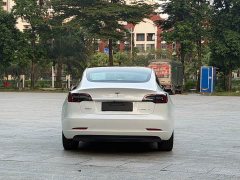 Tesla Model 3 2021 Standard Range RWD Upgrade 3D6 - ფოტო 16