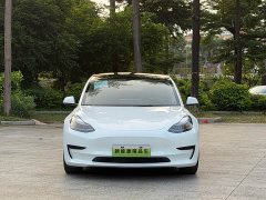 Tesla Model 3 2021 Standard Range RWD Upgrade 3D6 - ფოტო 2