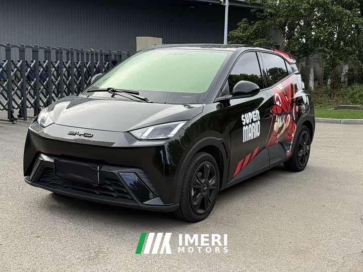 BYD Seagull Freedom Edition - ავტომობილი ჩინეთიდან