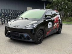 BYD Seagull Freedom Edition - ფოტო 1
