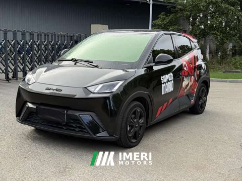 2023 BYD Seagull Freedom Edition - car from China