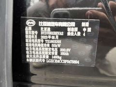 BYD Seagull Freedom Edition - ფოტო 11