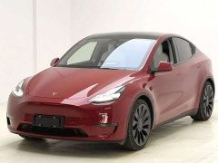 Tesla Model Y Performance All-Wheel Drive - ფოტო 1