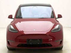 Tesla Model Y Performance All-Wheel Drive - ფოტო 2