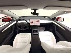 Tesla Model Y Performance All-Wheel Drive - ფოტო 5