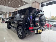 Mercedes-Benz G-Class G 450 d Korean Spec - ფოტო 12